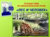 Путешествие по экологической тропе «Лес и человек»