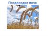 Плодородие почв