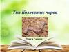 Тип Кольчатые черви.  7 класс