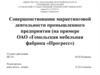 Совершенствование маркетинговой деятельности промышленного предприятия (на примере ОАО «Гомельская мебельная фабрика «Прогресс»)