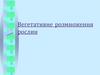 Вегетативне розмноження рослин