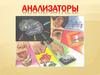 Анализаторы. Строение анализаторов