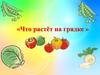Что растёт на грядке. Загадки с грядки