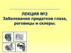 Заболевания придатков глаза, роговицы и склеры. Лекция №2