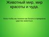 Животный мир, мир красоты и чуда