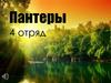 Пантеры 4 отряд