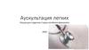 Аускультация легких