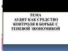 Аудит как средство контроля в борьбе с теневой экономикой