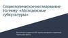 Социологическое исследование на тему: «Молодежные субкультуры»
