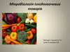 Мікробіологія плодоовочевих товарів
