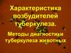Характеристика возбудителей туберкулеза. Лекция №3