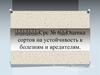 Оценка сортов пшеницы на устойчивость к болезням и вредителям
