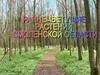 Раннецветущие растения Смоленской области