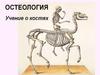 Остеология, Учение о костях
