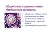 Мембранные органеллы.  Общий план строения клетки