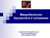 Микробиология бруцеллёза и туляремии