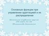 Основные функции при управлении адаптацией и их распределение