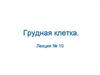 Грудная клетка. Лекция № 10