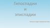 Гипоспадии и эписпадии