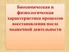 Биохимическая и физиологическая характеристика процессов восстановления после мышечной деятельности