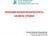 Экономическая безопасность на мезо-уровне