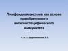 Лимфоидная система, как основа приобретенного антигенспецифического иммунитета
