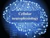 Cellular neurophysiology