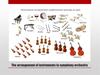 The arrangement of instruments in symphony orchestra