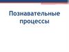 Познавательные процессы. Память