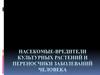 Насекомые-вредители культурных растений и переносчики заболеваний человека