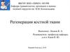 Регенерация костной ткани
