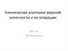 Клиническая анатомия верхней конечности и ее операции