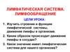 Лимфатическая система. Лимфообращение