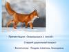 Знакомство с лисой