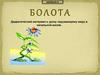 Болота. Дидактический материал к уроку по окружающему миру в начальной школе