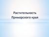 Растительность Приморского края