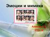 Эмоции и мимика