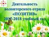 Деятельность волонтерского отряда «Позитив». 2017-2018 учебный год