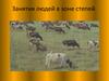 Занятия людей в зоне степей