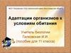 Адаптации организмов к условиям обитания
