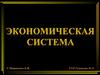 Экономическая система Тема 2