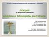 Модели и принципы биоэтики