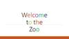 Welcome to the Zoo
