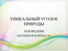 Уникальный уголок природы заповедник «Большая Кокшага»