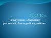 Дыхание растений, бактерий и грибов