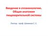 Введение в спланхнологию. Общая анатомия пищеварительной системы