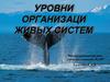 Уровни организаци живых систем