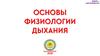 Основы физиологии дыхания