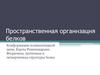Пространственная организация белков. Конформации полипептидной цепи. Карты Рамачандрана