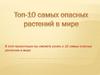 Топ-10 самых опасных растений в мире